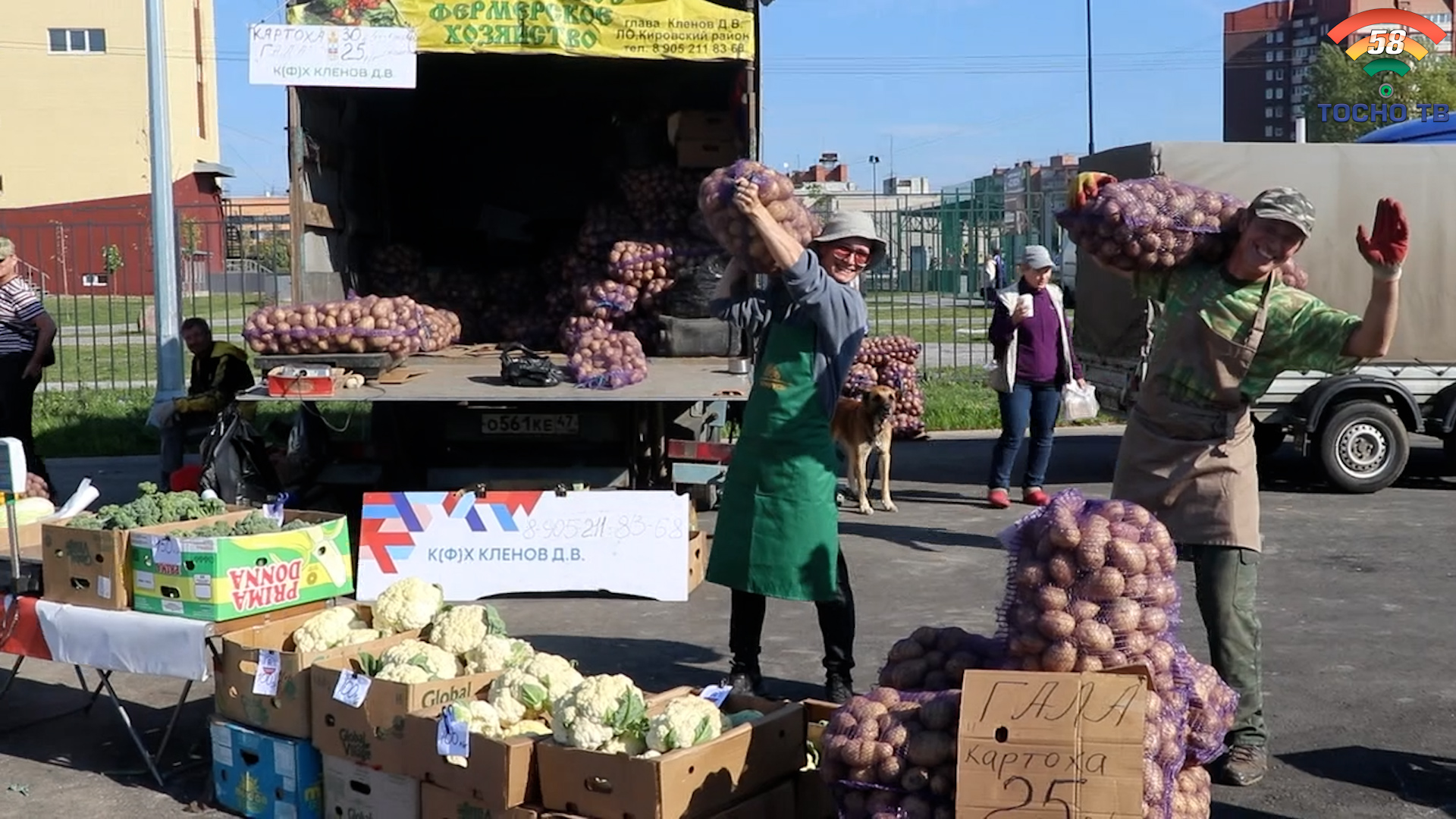 В Тосно состоялась осенняя агропромышленная ярмарка - Тосно-ТВ